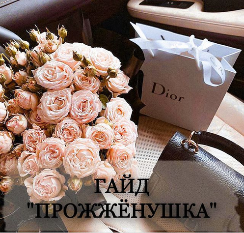 Гайд Прожжёнушка (madwoman.96)
