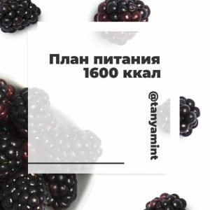 Планы питания 1600 ккал (Таня Минт)