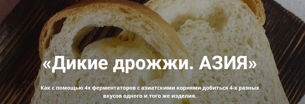 Дикие дрожжи. Азия (Ольга Ткаченко)