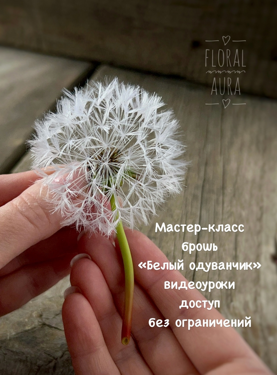 Белый одуванчик (Ольга Бутяева)