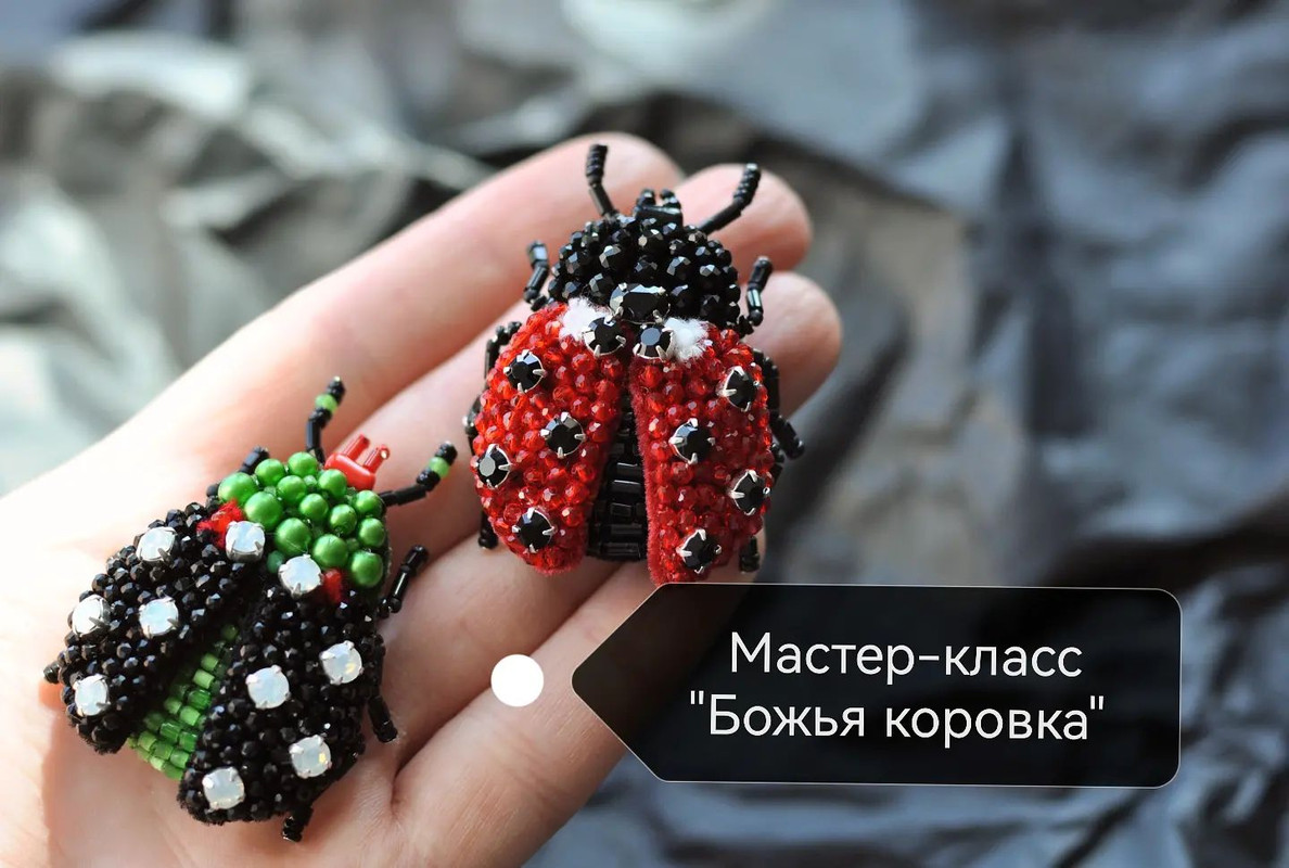 Брошь Божья коровка (Галина Чанкова)